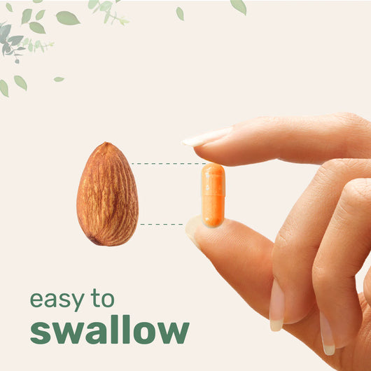 Bioavaliable Turmeric Capsules