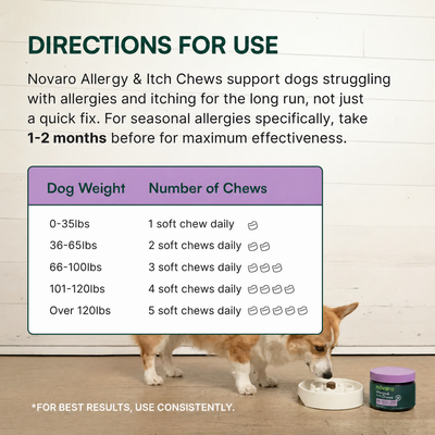 Dog Allergy & Itch Soft Chews