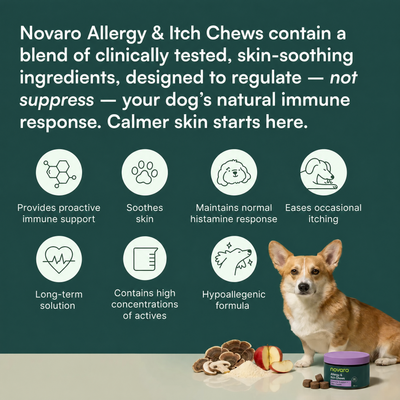 Dog Allergy & Itch Soft Chews